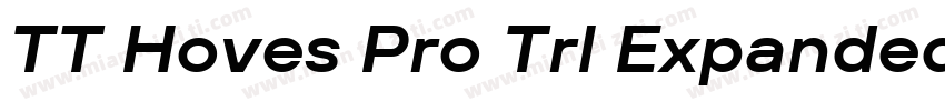 TT Hoves Pro Trl Expanded Bold字体转换